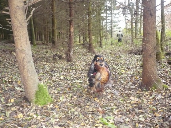 Konopiste_8.11.2009 (6).JPG